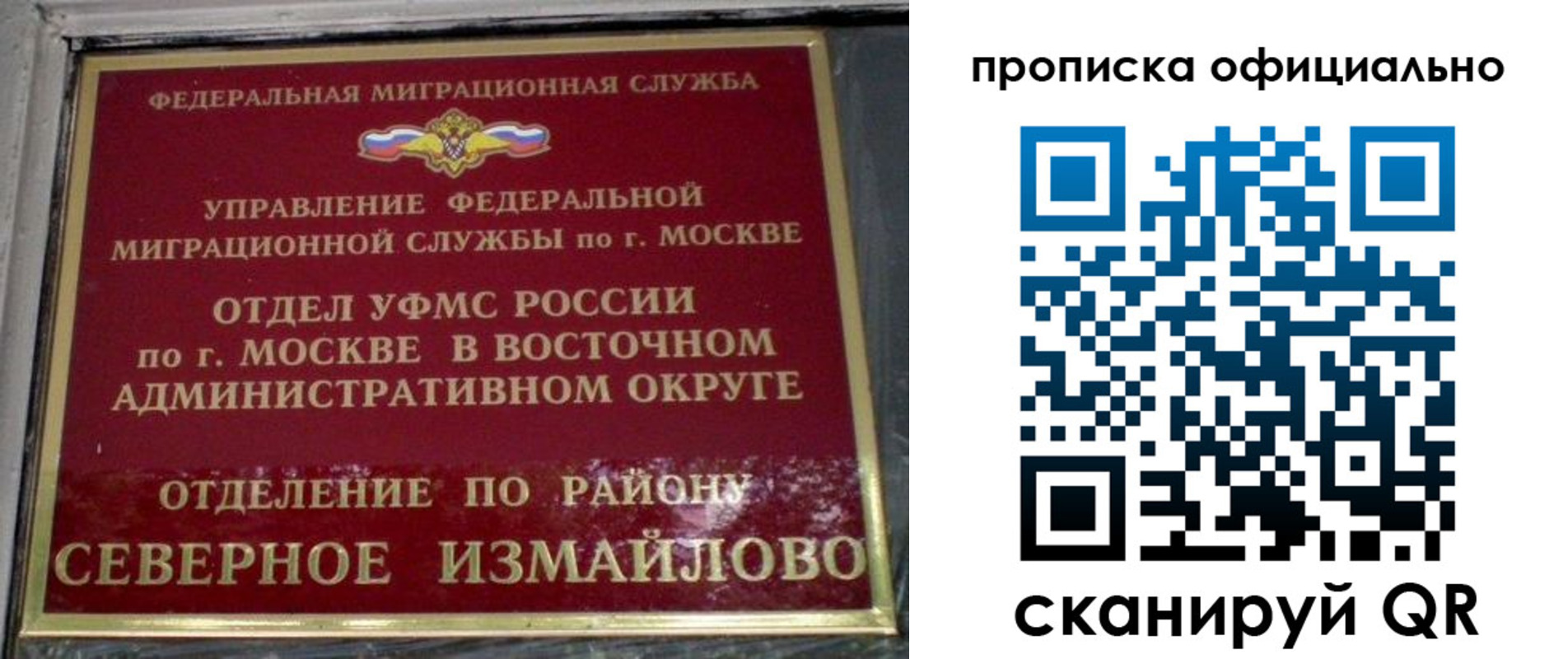временная регистрация поиск в Лодейном Поле
